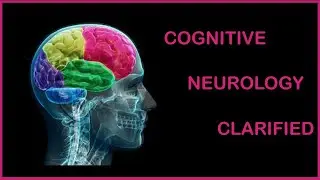 COGNITIVE NEUROLOGY CLARIFIED