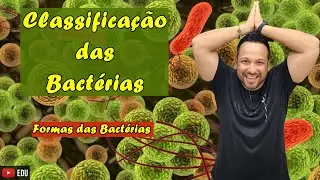 Classificação das Bactérias - Formas das Bactérias - Microbiologia - Reino Bacteria