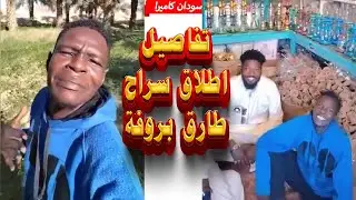 تفاصيل عن اطلاق سراح طارق بروفه