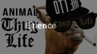 WELCOME TO CHANNEL