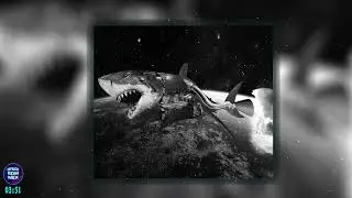 Orange JD - Shark (Original Mix)