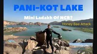 मधुमक्खी Attack |  Sunday Ride To Pani Kot Lake I #himalayan450 I @NSRYDER