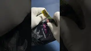 Restocking Wax Beads #restock #waxbeads #hairremoval #asmr #satisfying #oddlysatisfying