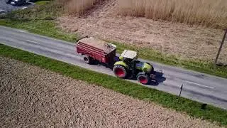 Le Ch'ti Miscanthus   Paillage Eco'Logique