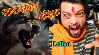 भेड़िए का आतंक | Bhediya Ka Aatank | Bhediya Attack | Wolf Attack #bhediya #newvideo #viralvideo