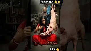 daily eating pig women #shortvideo #animation #shotsvideo #ai