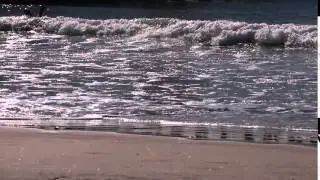 SuperGrom cuts to the right at Seal Beach