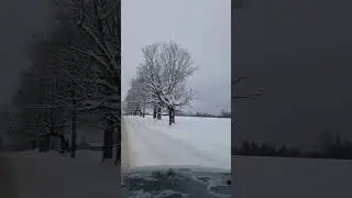 Sugarhouse road lined with 100 year old Sugar Maple trees,sugarhouse is at end of video