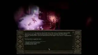 Pillars of Eternity Evil Playthrough in Hard (HD) - Never Far From the Queen
