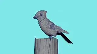 Bird Animation | iDream Animation Academy & Studio