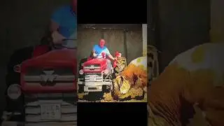 Massey Ferguson 135 vs Bull #messeyferguson #tractor #bull