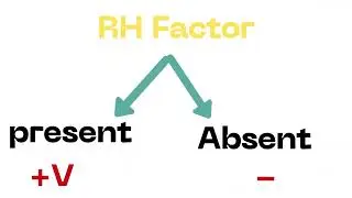ABO blood group and Rh factor