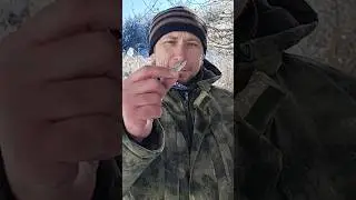 побывал на соревнованиях по мормышке