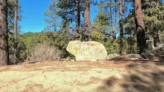 COCODONA RECON 3/28/21