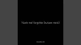 numb and forgotten (autumn Remix)