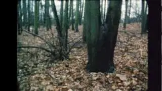 All&eacute;geance - Visual Poem