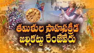 Jallikattu Explained | The Thrill, Tradition & Controversy Behind the Sport || Idi Sangathi