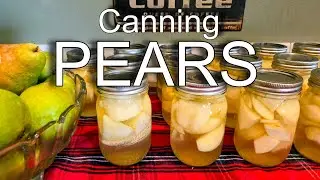 Preserve Your Own Delicious Pears (and Other Canning Wisdom)