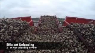 Amity Sugar Beet Cart