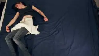 Holometabolous