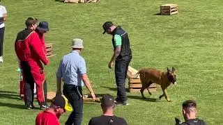 Team Brazil 2023 Mondioring World Championship MR2 Grand Prix