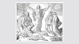 Adult Coloring Book of Antique Bible Illustrations - New Testament