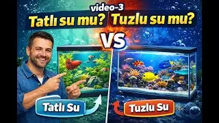 Akvaryuma Yeni Başlayanlar DİKKAT! Tuzlu Su mu Tatlı Su mu? ( AKVARYUM SERİSİ BÖLÜM 3 )