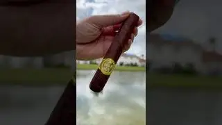 Rocky Patel Seed to Smoke #cigar #cigarlife #cigarstyle #asmr #asmrsounds #asmrvideo #سیگار_برگ