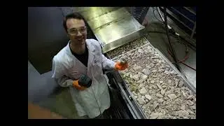 The Premium Grind: Crush It! Challenge, Team CanMicro (Microwave Assisted Comminution & Ore Sorting)