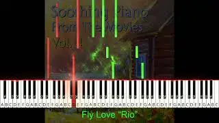 Fly Love 