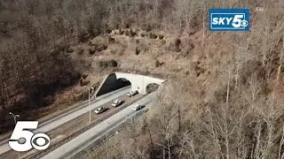 Bobby Hopper tunnel fails environmental inspection