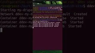 Quick Install Drupal 10 Using DDEV