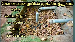 Rain water harvesting method/ Summer rain/ 100 &lsquo;/, harvesting