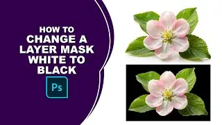 How to change a layer mask from white to black