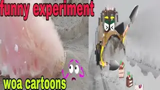 funny experiment/woa funny cartoons