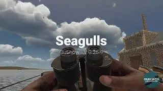 Seagull