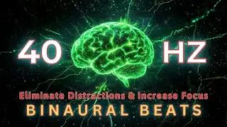 40Hz Binaural Beats | Eliminate Distractions & Increase Focus, Brain Development