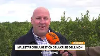Malestar con la gesti&oacute;n de la crisis del lim&oacute;n