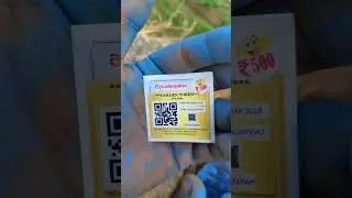 token coupon#putty #wallputtykaisekare #penting #penting #song