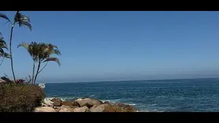 pv vlog.mp4