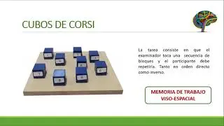Evaluación de la memoria