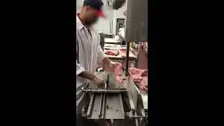 6801-18IP Meat Saw with Pusher