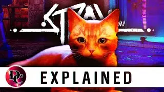 Stray Explained