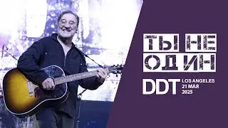 Ты не один. DDT в AVALON Hollywood & Bardot. Лос-Анджелес. 21 мая 2025 г.