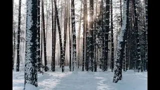 Peaceful Christmas Music // Crackling Fire // Relaxing Holiday Ambient Music for wrapping Decorating