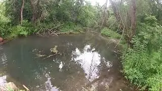 Fishing a Trout brook for Brook Trout in Minnesota Southeast of the Twin Cities MN