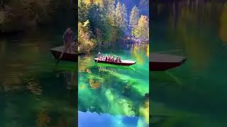 MUST SEE TRAIN VIEW SWITZERLAND   seat position to get the best  #switzerland #exploravista