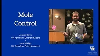 Mole Control
