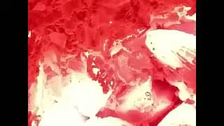 Firecolors- 4A 