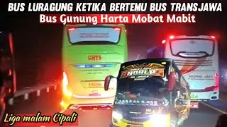 KALAH POWER WANI NGUBER‼️Trip Luragung Andalas 02 bertemu bus Pelari malam transjawa di Cipali 